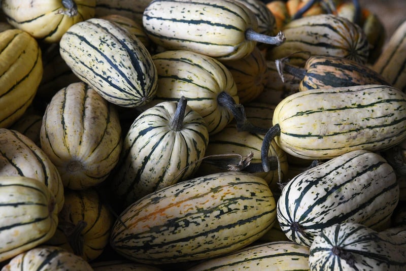 Organic Farm-to-Table