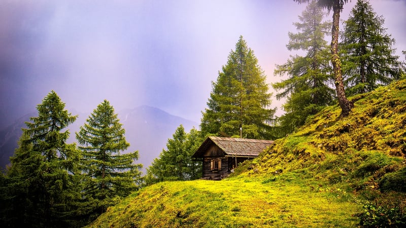Treetop Bungalow